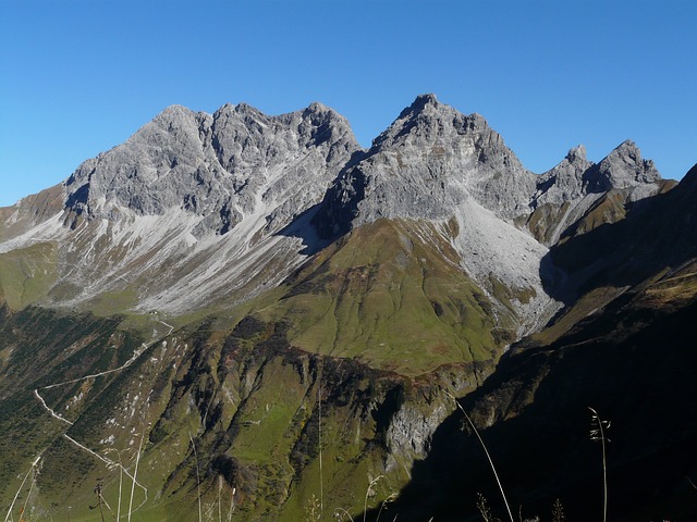 Image by Hans Braxmeier from Pixabay