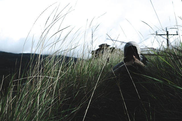 Image by StockSnap from Pixabay