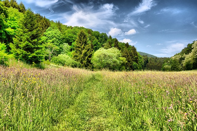 Image by Marion Wellmann from Pixabay