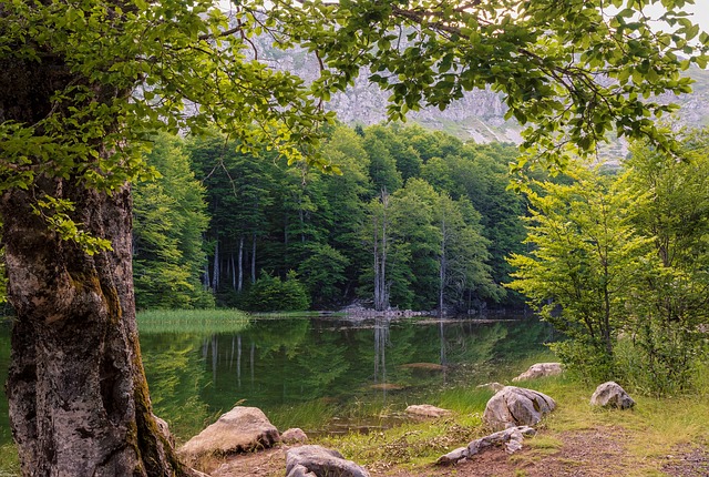 Image by Ioannis Ioannidis from Pixabay