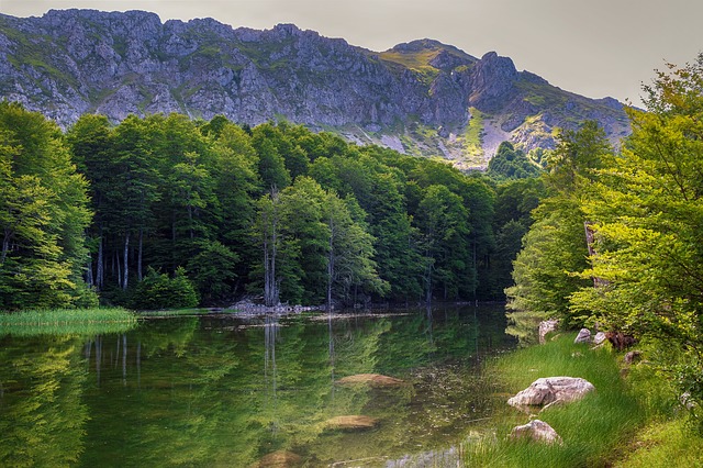 Image by Ioannis Ioannidis from Pixabay