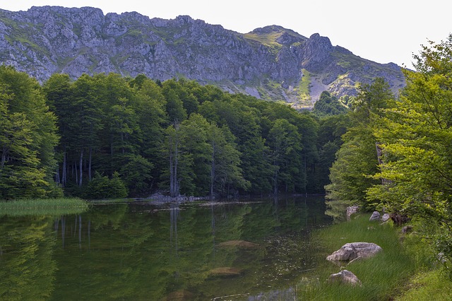 Image by Ioannis Ioannidis from Pixabay