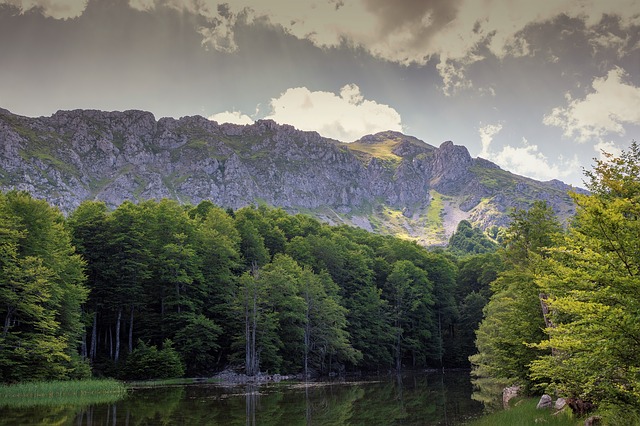 Image by Ioannis Ioannidis from Pixabay