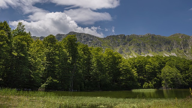 Image by Ioannis Ioannidis from Pixabay