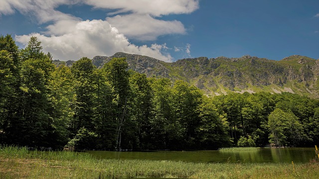 Image by Ioannis Ioannidis from Pixabay