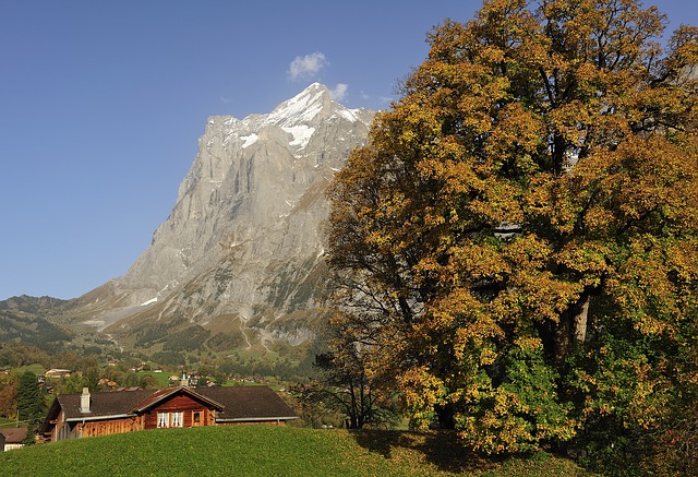 Image by Albert Häsler from Pixabay