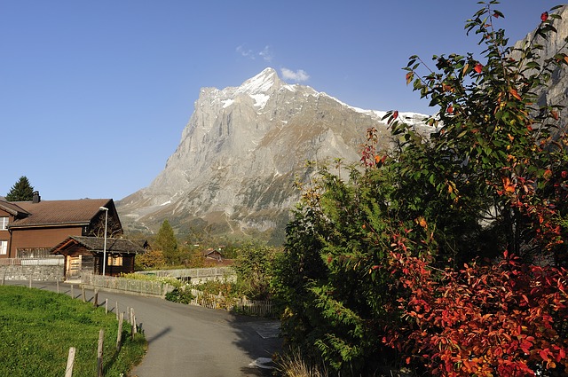 Image by Albert Häsler from Pixabay