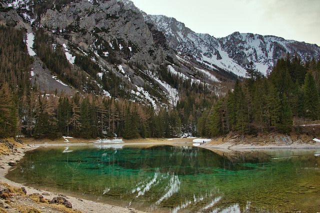 Image by Lisa eppinger from Pixabay