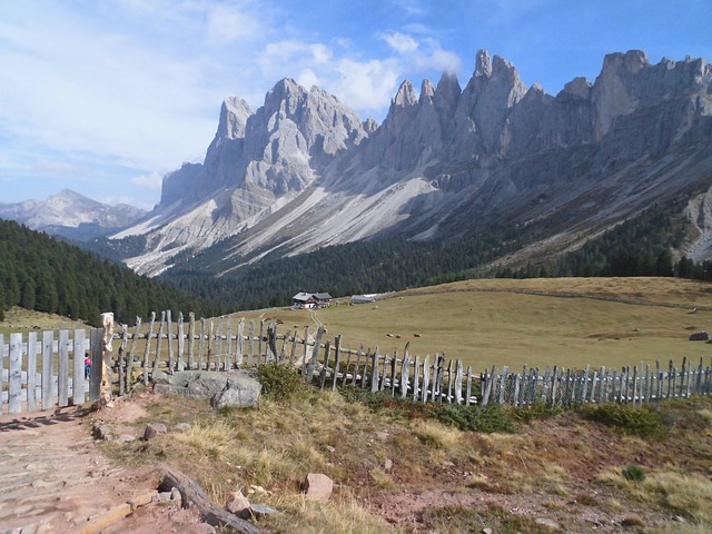 Image by hthorg from Pixabay