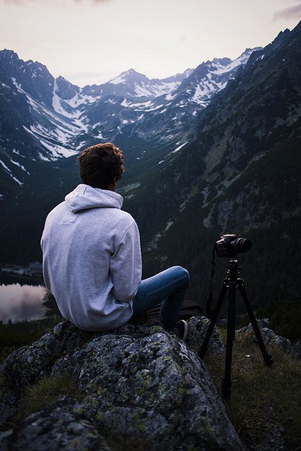 Image by StockSnap from Pixabay