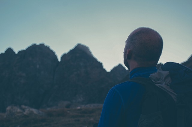 Image by StockSnap from Pixabay