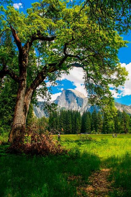 Image by Egor Shitikov from Pixabay