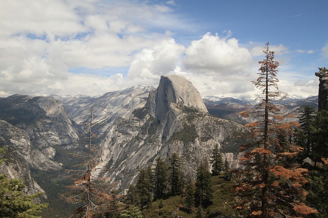Image by Free-Photos from Pixabay