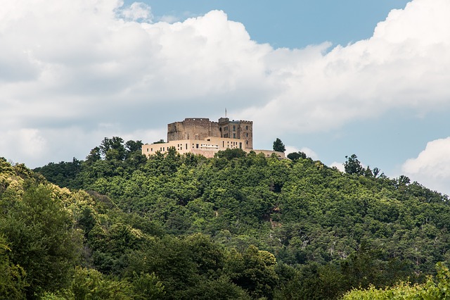 Image by tomkevicius from Pixabay