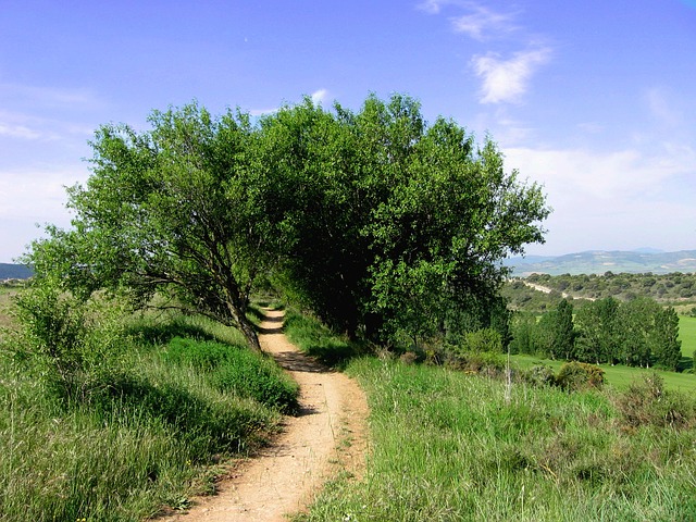 Image by rewind from Pixabay