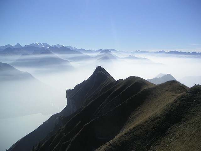 Image by jproethlisberger from Pixabay