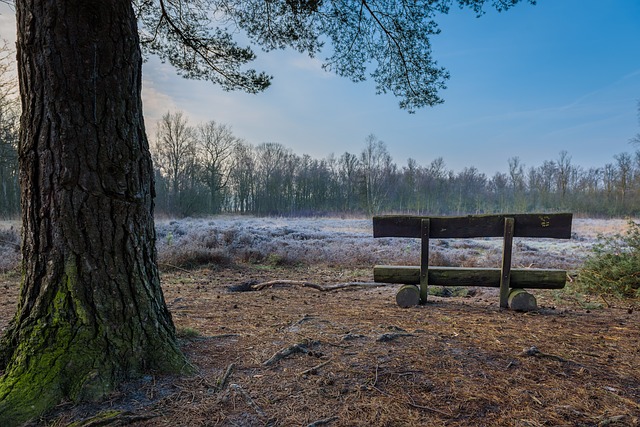 Image by Andreas Göllner from Pixabay