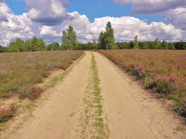 Image by Ulrich Dregler from Pixabay