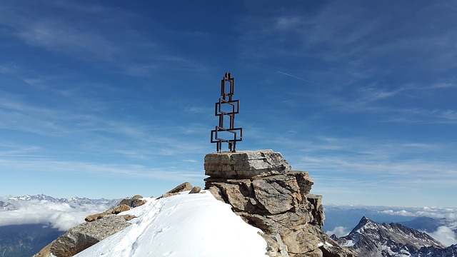 Image by Simon Steinberger from Pixabay