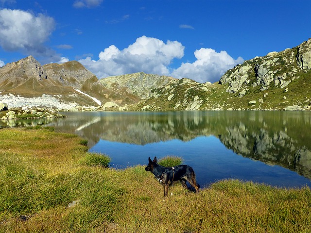 Image by Gabriela Fink from Pixabay