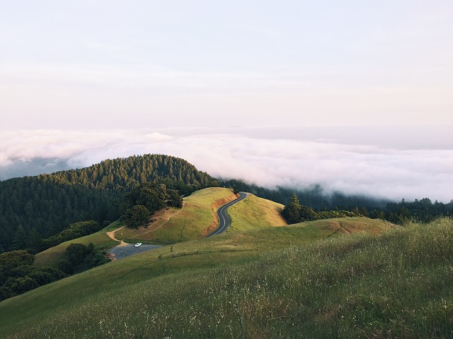 Image by Free-Photos from Pixabay