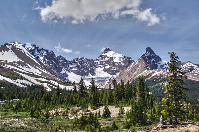 Image by M. Maggs from Pixabay