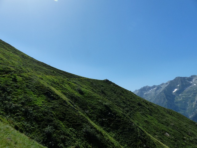 Image by Hans Braxmeier from Pixabay