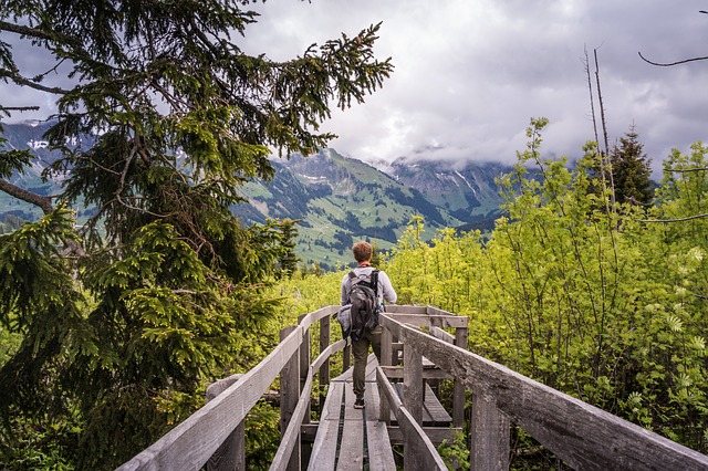 Image by Lukas Bieri from Pixabay