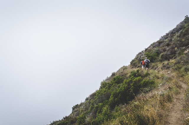 Image by Free-Photos from Pixabay
