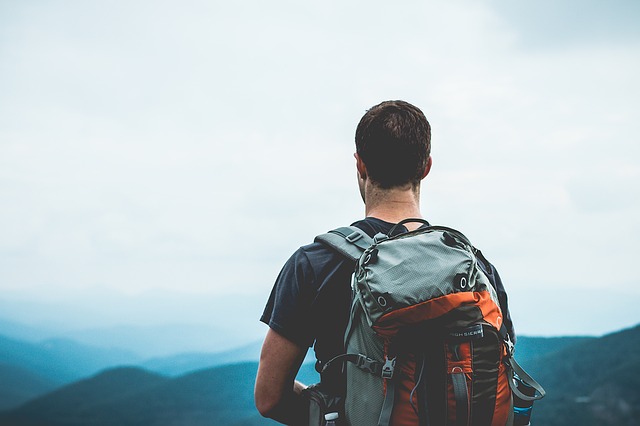 Image by Free-Photos from Pixabay