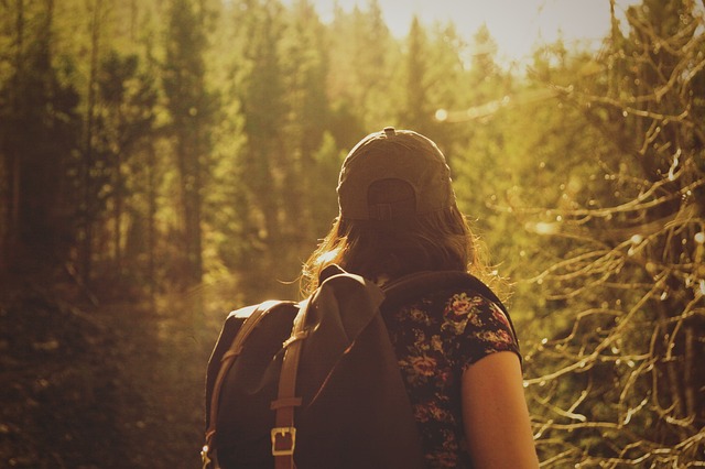 Image by Free-Photos from Pixabay