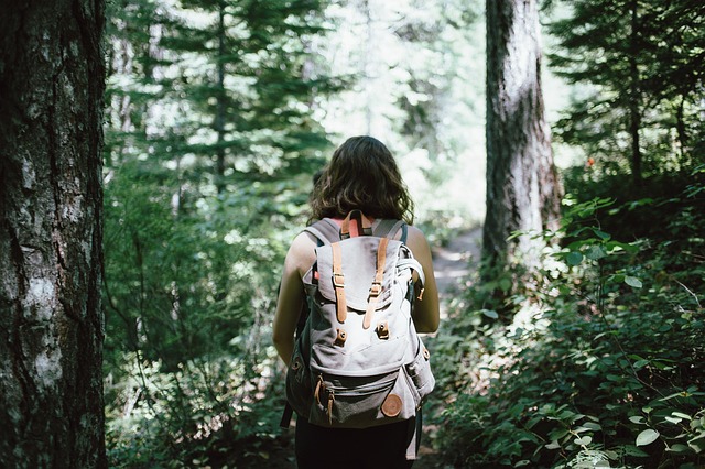 Image by Free-Photos from Pixabay