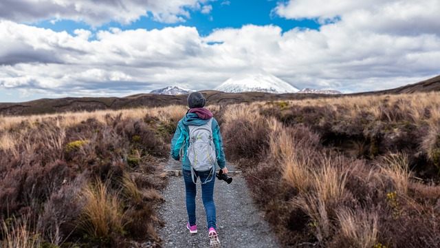 Image by Free-Photos from Pixabay
