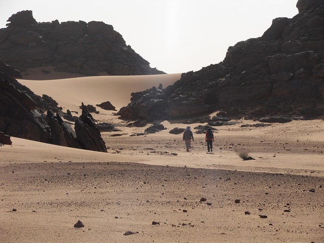 Image by Wolfgang Beisswenger from Pixabay