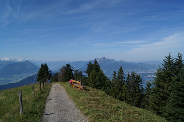 Image by Martin Zellweger from Pixabay