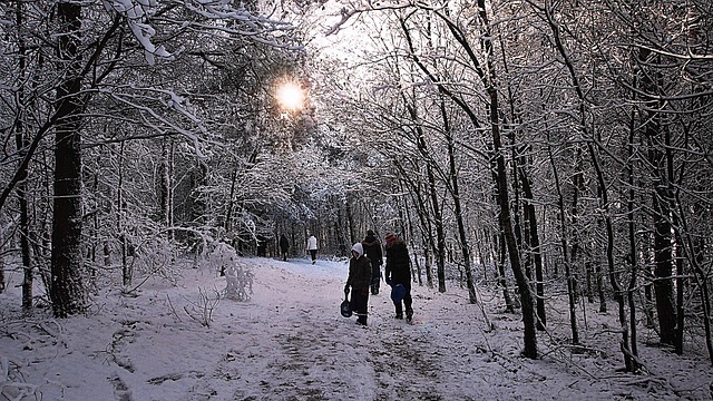 Image by FotoRieth from Pixabay