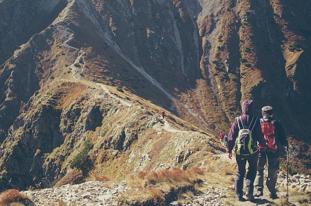Image by StockSnap from Pixabay