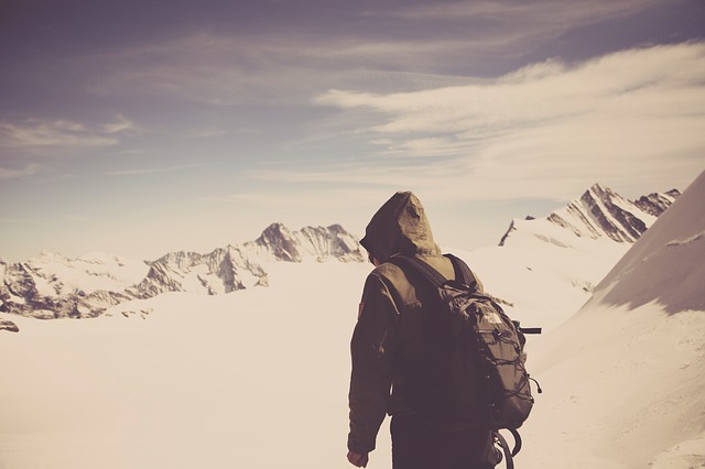 Image by StockSnap from Pixabay