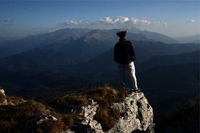 Image by StockSnap from Pixabay