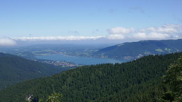 Image by Dieter_G from Pixabay