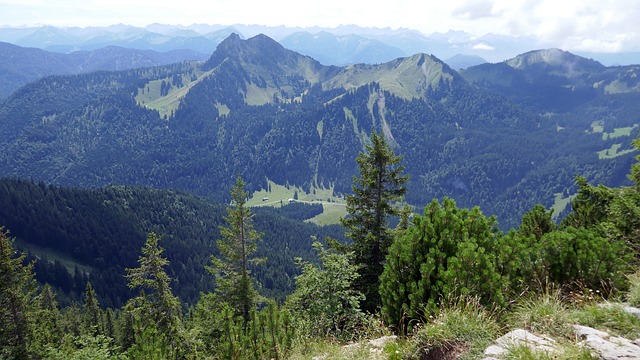 Image by Dieter_G from Pixabay