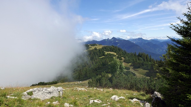 Image by Dieter_G from Pixabay