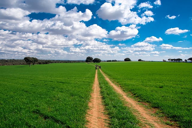 Image by Mehmet A. from Pixabay