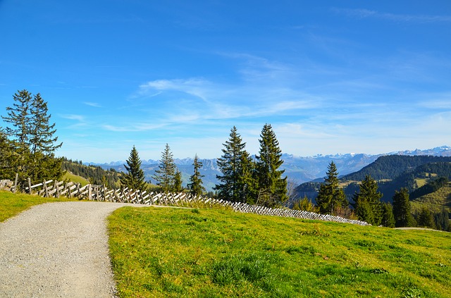 Image by Sarah Lötscher from Pixabay