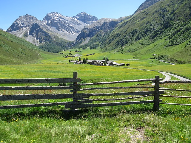 Image by Peter Lazarov from Pixabay