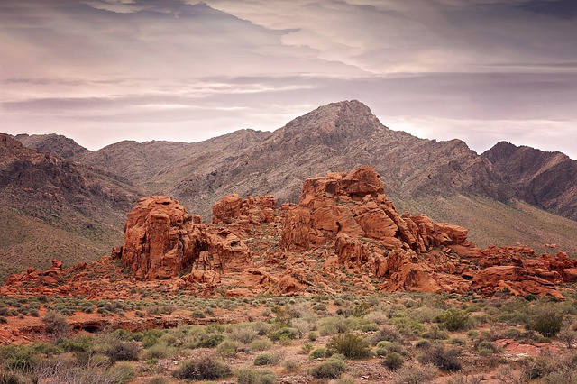 Image by esudroff from Pixabay