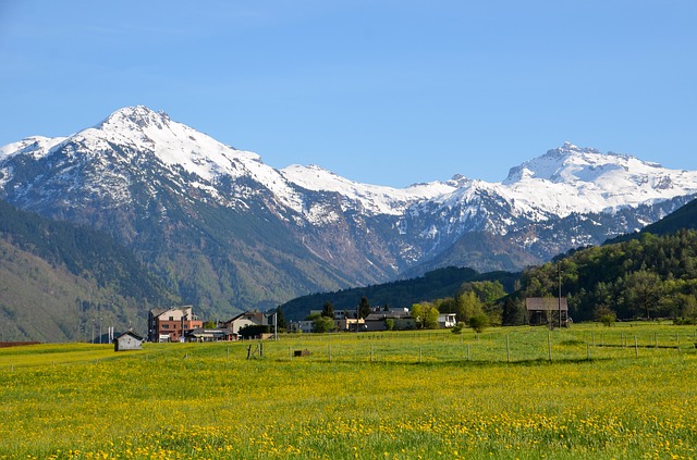 Image by Sarah Lötscher from Pixabay