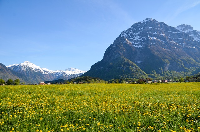 Image by Sarah Lötscher from Pixabay