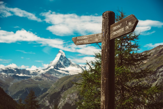 Image by Thomas Hendele from Pixabay