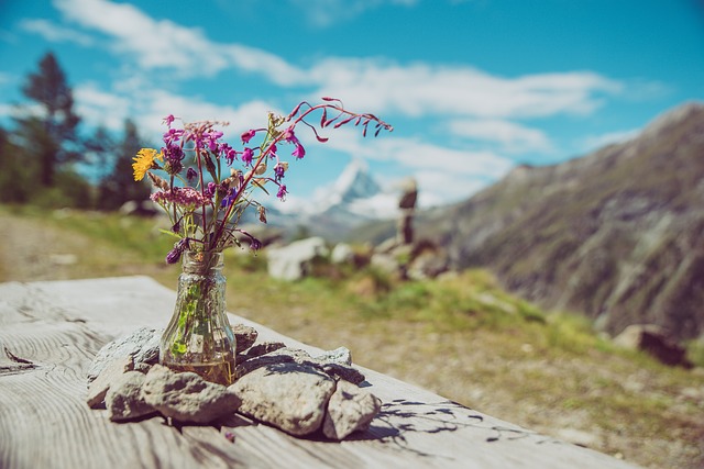 Image by Thomas Hendele from Pixabay